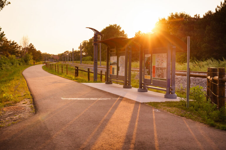Cedar Lake Trail July 2024 1 Cedar Lake Trail July 2024