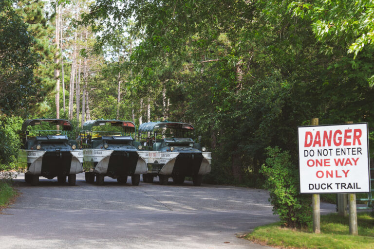 Original Wisconsin Ducks 3 "Ducks" parked in Wisconsin Dells. Rides on the World War II vehicles have long been a very popular tourist attraction in Wisconsin Dells.