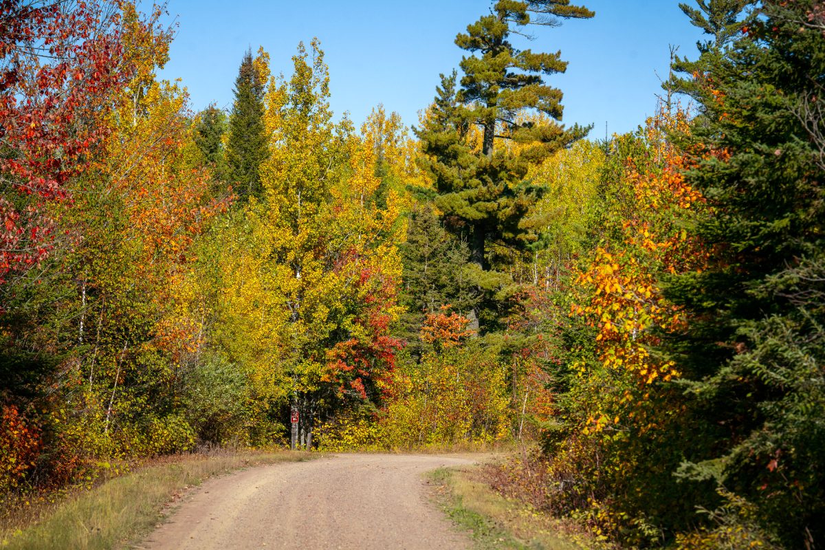 Dirt road through Superior National Forest lined with autumn foliage in Northern Minnesota.
