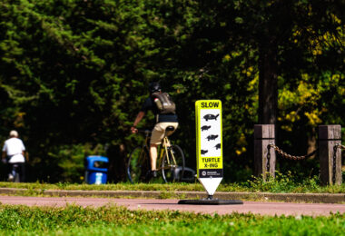 Slow Turtle Crossing sign near Cedar Lake in South Minneapolis.