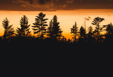 Sunset in the Superior National Forest in Northern Minnesota.