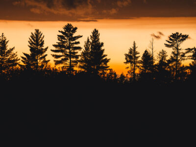 Autumn sunset trees in Minnesota