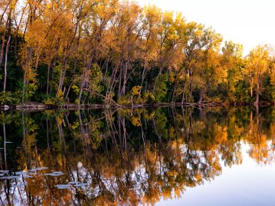 Autumn trees on Cedar Lake in Minneapolis