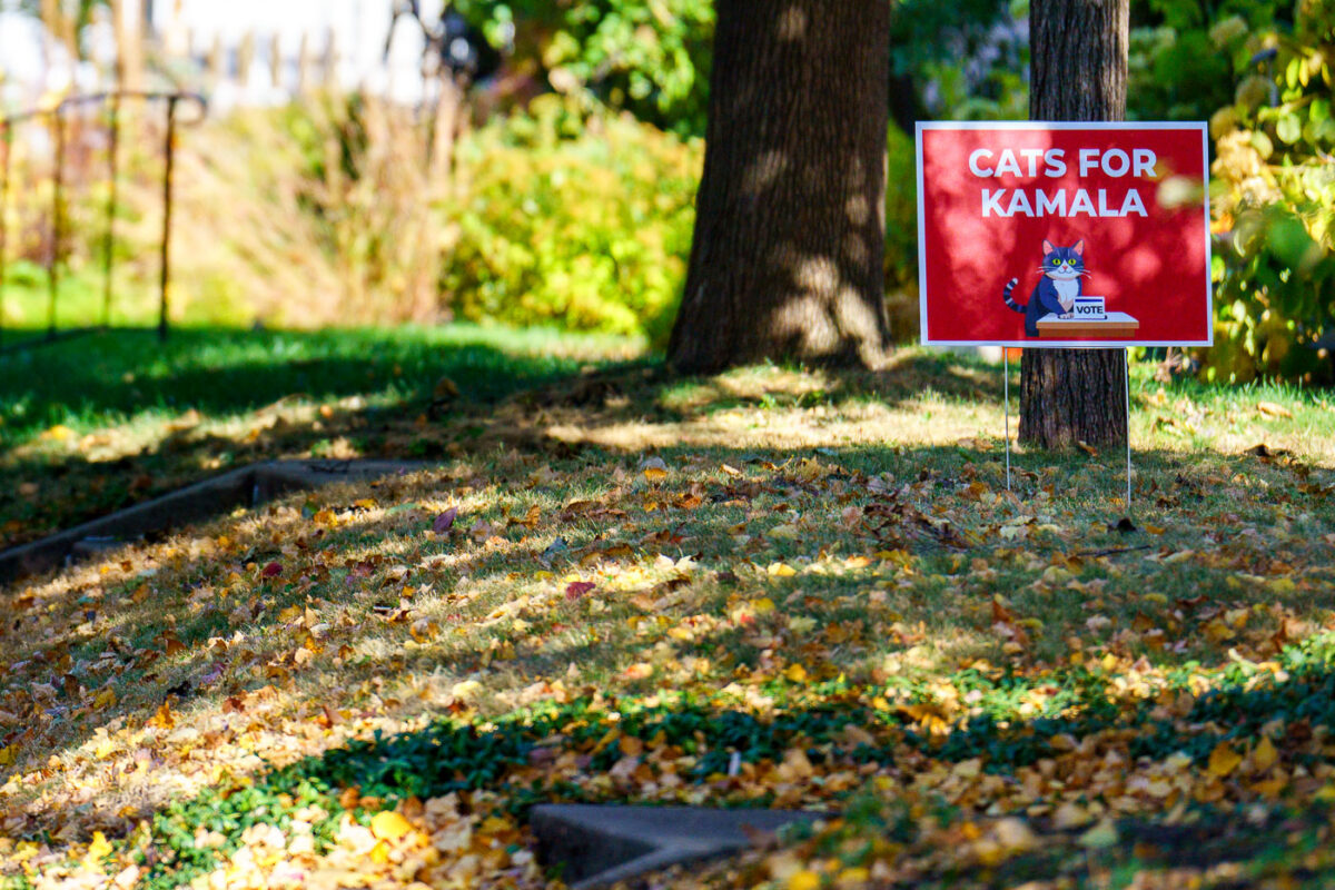 A "Cats for Kamala" yard sign in South Minneapolis, Seen less than a month away from the 2024 Presidential election.