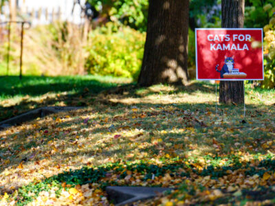 Cats for Kamala Yard Sign, South Minneapolis