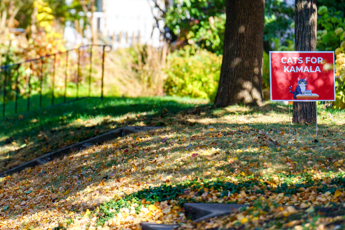 Cats for Kamala Harris yard sign