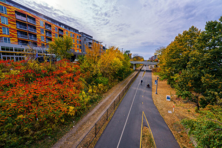 Fall Colors, Midtown Greenway 4 The Midtown Greenway in Minneapolis is a 5.5-mile-long multi-use trail built on a former railroad corridor. This path, which runs through the heart of the city, provides a vital connection for cyclists, pedestrians, and skaters. The surrounding urban environment, including the modern apartment buildings visible here, has developed around this important piece of infrastructure. The vibrant fall foliage highlights the path's integration with the natural landscape, even within a dense urban setting.