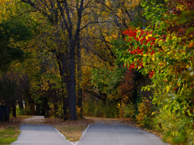 Fall leaves on the Midtown Greenway