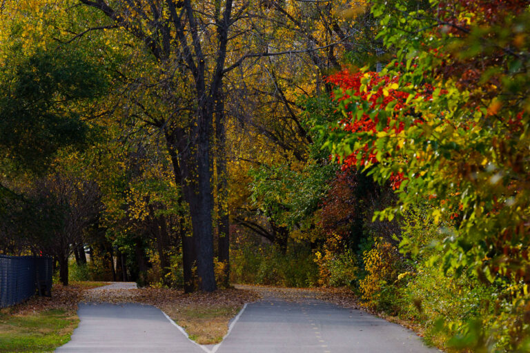 Fall leaves on the Midtown Greenway 2 The Midtown Greenway in Minneapolis is a 5.5-mile-long multi-use trail built on a former railroad corridor. Opened in 2003, it connects the Mississippi River to the Chain of Lakes, providing a vital transportation and recreation link through the city's south side. The trail is popular for biking, walking, and running, and its path is lined with trees that display vibrant fall colors, as seen here. The presence of the Minneapolis Uprising in 2020, which saw significant activity in the city, highlights the Greenway's role as a public space that can be utilized for various community purposes.