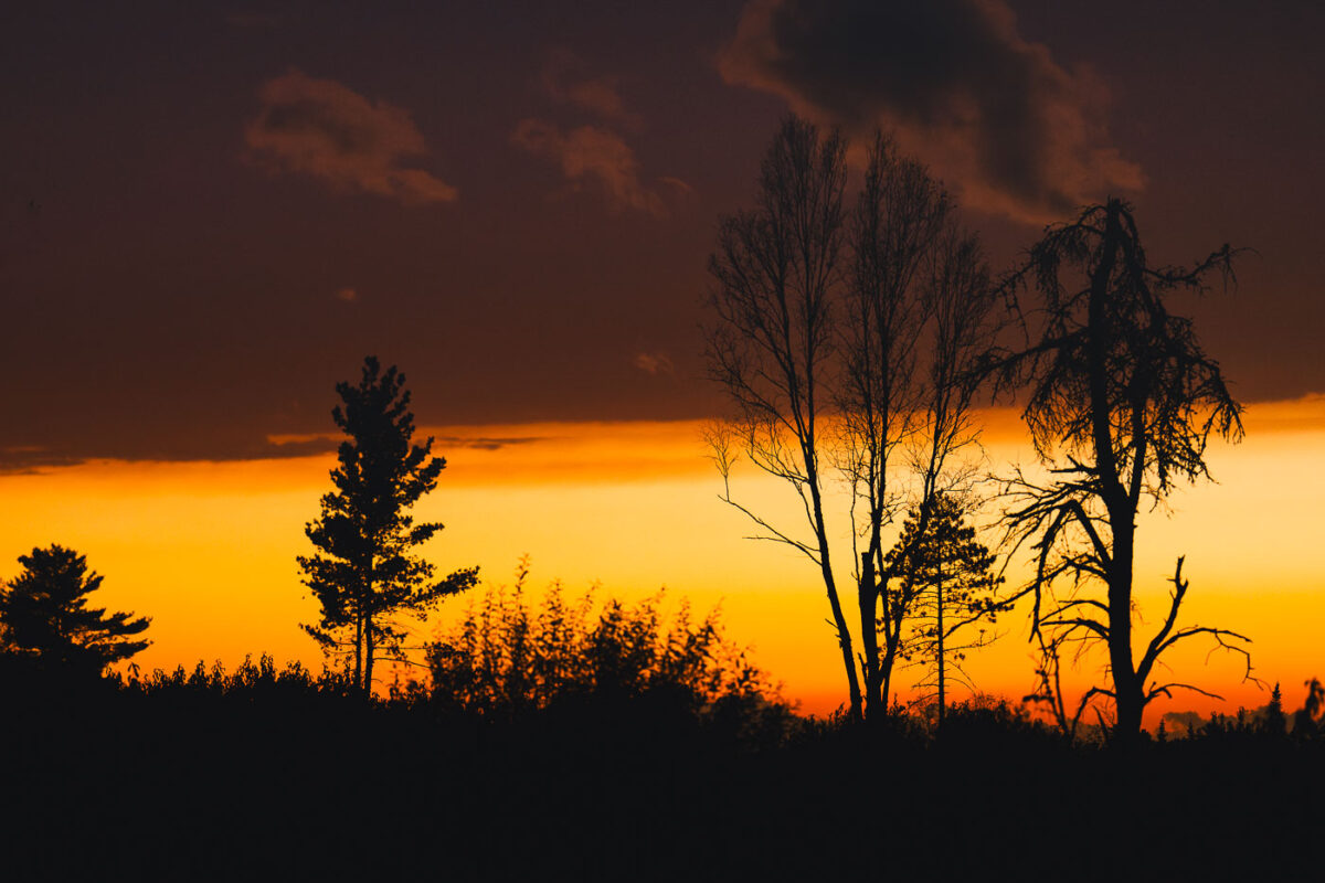 Sunset in the Superior National Forest in Northern Minnesota.