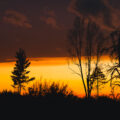 Sunset in the Superior National Forest in Northern Minnesota.