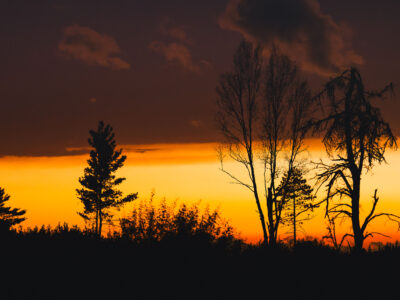 Sunset clouds in National Forest