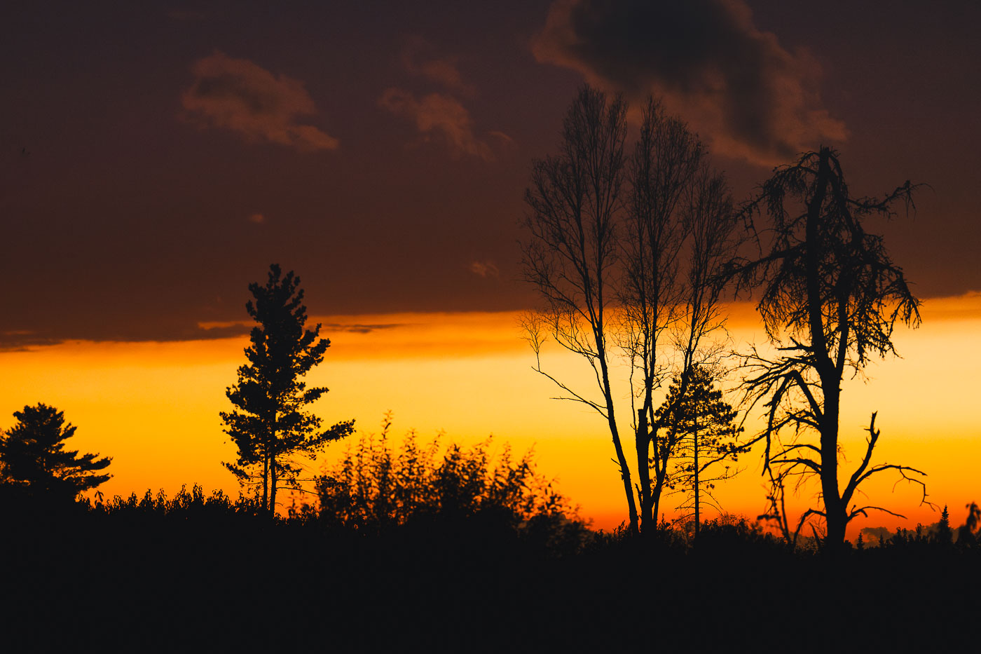 Sunset clouds in National Forest