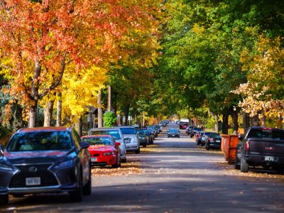 Harriet Ave, Minneapolis: Autumn Trees and Street Parking
