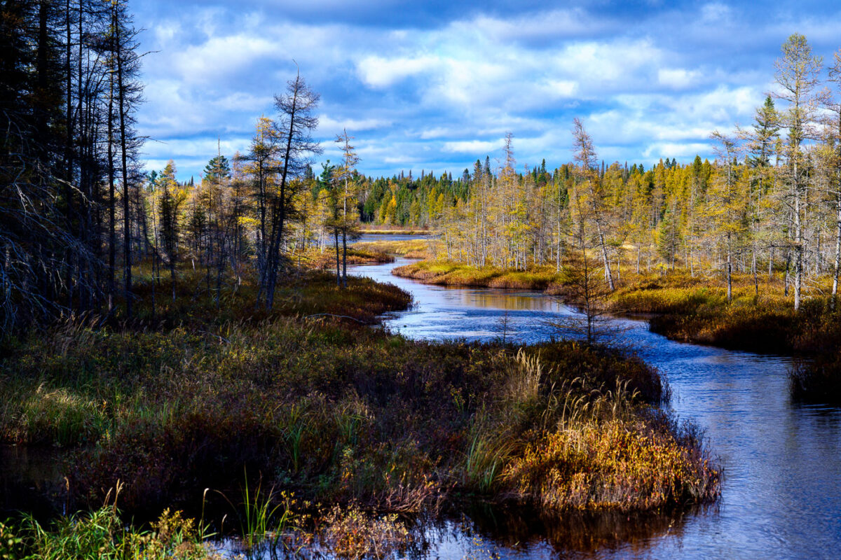 The West Baptism River near the town of Isabella in Northern Minnesota, Superior National Forest.