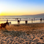 Horses and people on the beach of a resort during sunset at an all inclusive resort.
