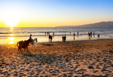 Horses and people on the beach of a resort during sunset at an all inclusive resort.