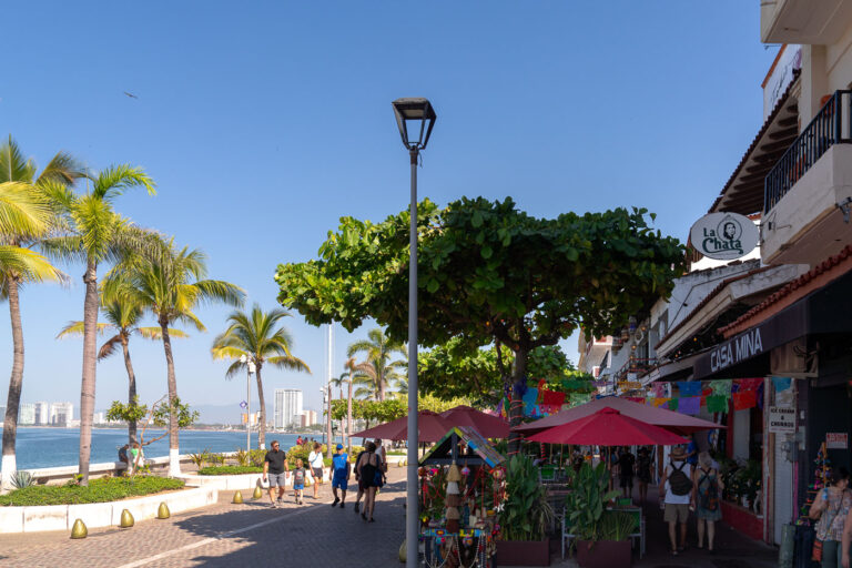 Strolling the Puerto Vallarta Malecón 1 The lively Malecón promenade in Puerto Vallarta stretches along the Bay of Banderas, framed by rows of palms, open-air cafés, and small artisan stands shaded by red umbrellas. Visitors walk the cobblestone walkway past shops like Casa Mina and La Chata, where colorful papel picado flags flutter above the outdoor seating. In the distance, high-rise hotels mark the city’s modern skyline, while the older seafront retains the intimate, walkable character that has made this coastal destination one of Mexico’s most beloved beach towns.
