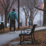 A man walks his dog on The Mall on a a unusually warm late December night.
