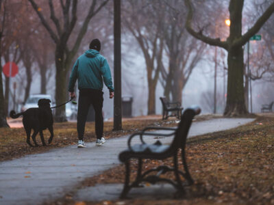 Walking the dog on The Mall in the fog