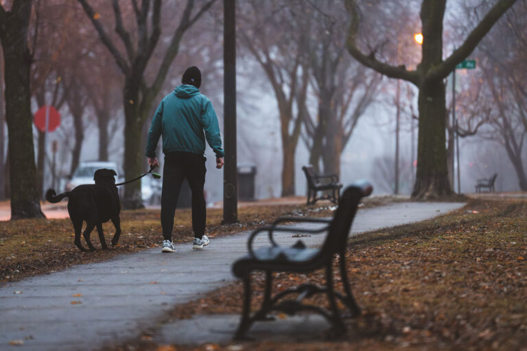 Walking the dog on The Mall in the fog 3 A man walks his dog on The Mall on a a unusually warm late December night.