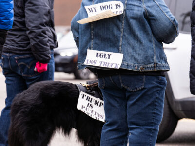 Dog at Tesla protest in Minneapolis March 29 2025
