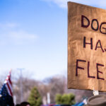 Tesla Takedown protest at a Tesla showroom in Minneapolis (Golden Valley) on March 22, 2025. This is the 6th week in a row protesters have gathered. The crowd has continued to grow exponentially each week.