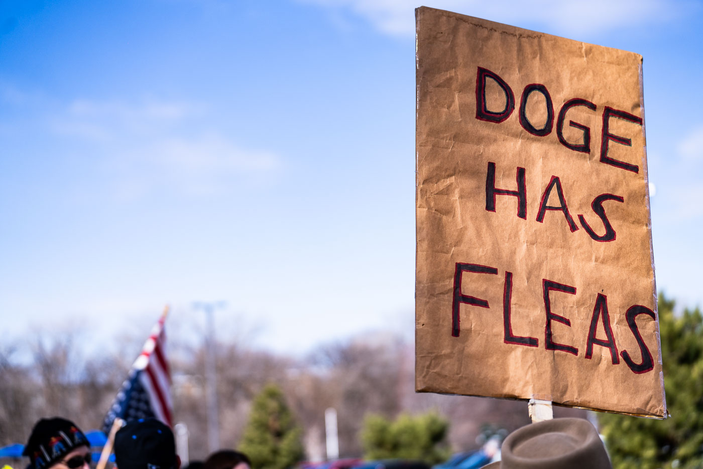 Doge has fleas Tesla Takedown protest sign