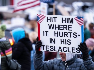 Hit him where it hurts Tesla Protest Sign