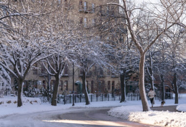 Jogging with the dog in Downtown Minneapolis following a March snowstorm.