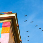 The Rainbow Building in Uptown Minneapolis with a flock of birds.