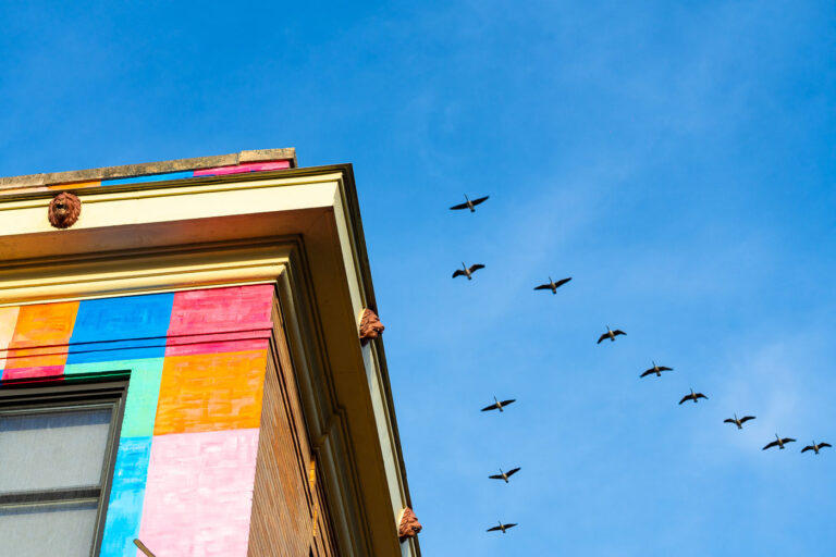 Rainbow building and birds in Uptown Minneapolis 1 The Rainbow Building in Uptown Minneapolis with a flock of birds.