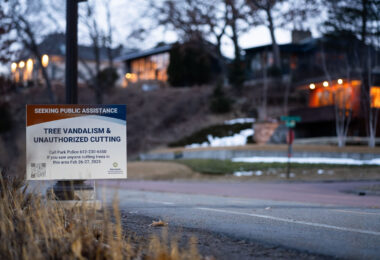 A yard sign from the Minneapolis park and Recreation Board seeking to find those responsible for cutting down large trees.
