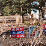 Yard signs in South Minneapolis that read:"And one day like a miracle he'll be gone""All are welcome here""Dictator or Democracy Thats the choice"