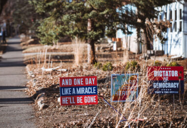 Yard signs in South Minneapolis that read:

"And one day like a miracle he'll be gone"

"All are welcome here"

"Dictator or Democracy Thats the choice"