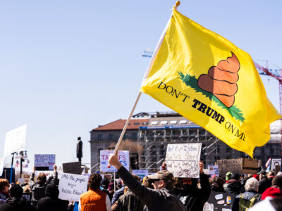 Don't Trump On Me Flag at Hands Off Protest