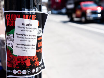 Harvard Square protest flyers on a street pole