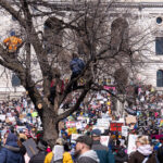 Protesters in trees at Hands Off Minnesota 1 The Minnesota State Patrol estimates 25,000 gathered at the Minnesota State Capitol this afternoon as part of the nationwide “Hands Off!” protests.