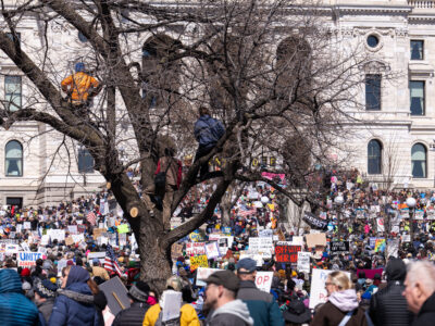 Protesters in trees at Minnesota State Capitol