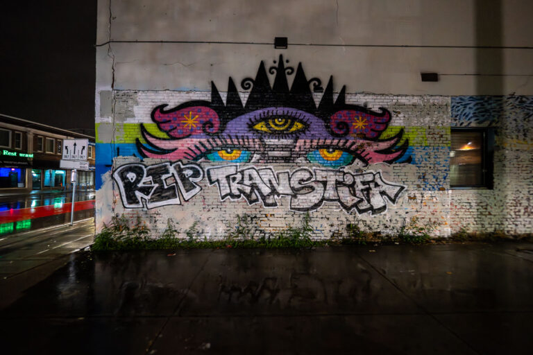 RIP TRANSTIFA 4 A mural reading "RIP TRANSTIFA" seen on Lake Street.