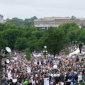 No Kings Protest in St Paul Minnesota June 14 2025