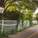 A frame photo of a duck on a tree. The bike path goes over Lyndale Avenue.