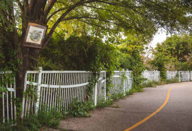 A frame photo of a duck on a tree. The bike path goes over Lyndale Avenue.
