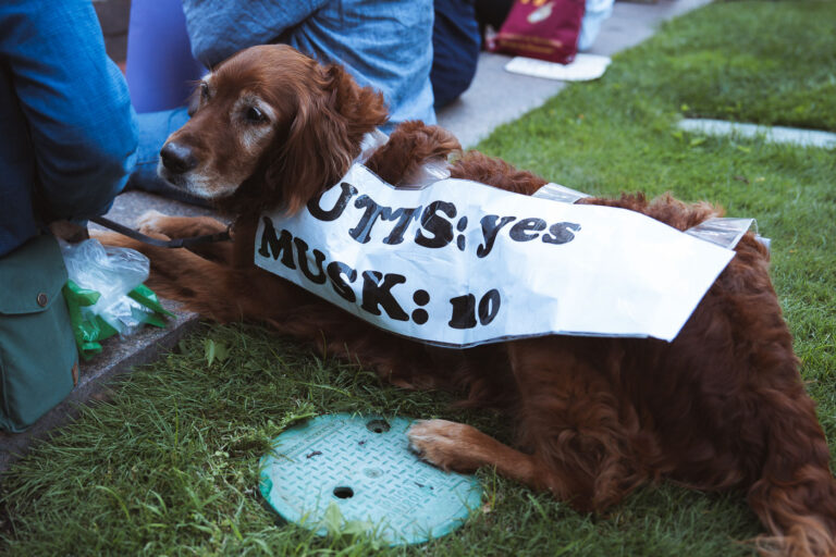 Mutts Yes Musk No Good Trouble Protester in Minneapolis 2 Protesters in Downtown Minneapolis as part of nationwide “Good trouble lives on” protests.Organizers say “Good Trouble Lives On is a national day of action to respond to the attacks on our civil and human rights by the Trump administration. Together, we’ll remind them that in America, the power lies with the people.”After gathering at the Hennepin County Government Center listening to speakers such as Toussaint Morrison, Nekima Levy Armstrong, and Lieutenant Governor Peggy Flanagan they marched through Downtown Minneapolis.