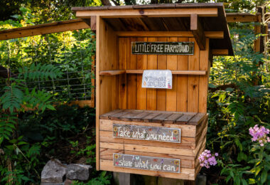 "Little Free Farmstand" offering free food. Take what you need... share what you can. Seen in South Minneapolis.