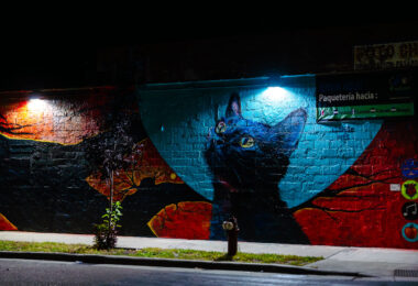 A new mural by Gulsan Osman on Lake Street in Minneapolis.