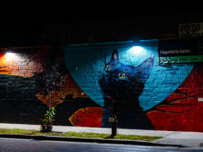 Gulsan Osman Black Cat Mural, Lake Street, Minneapolis at Night