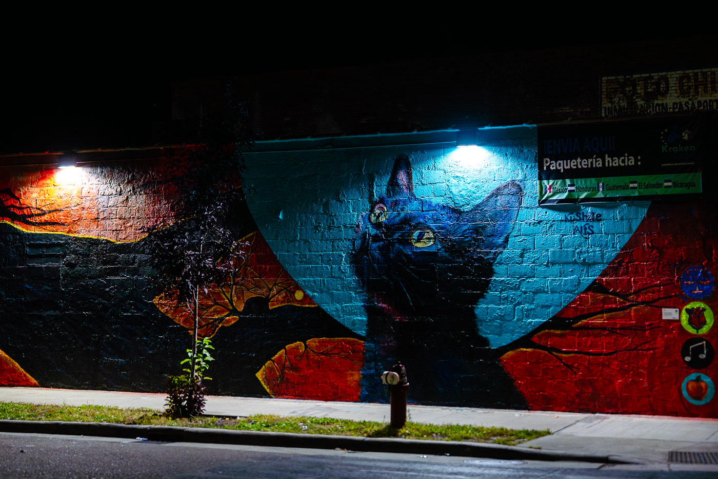 Colorful cat mural in Minneapolis by Gulsan Osman