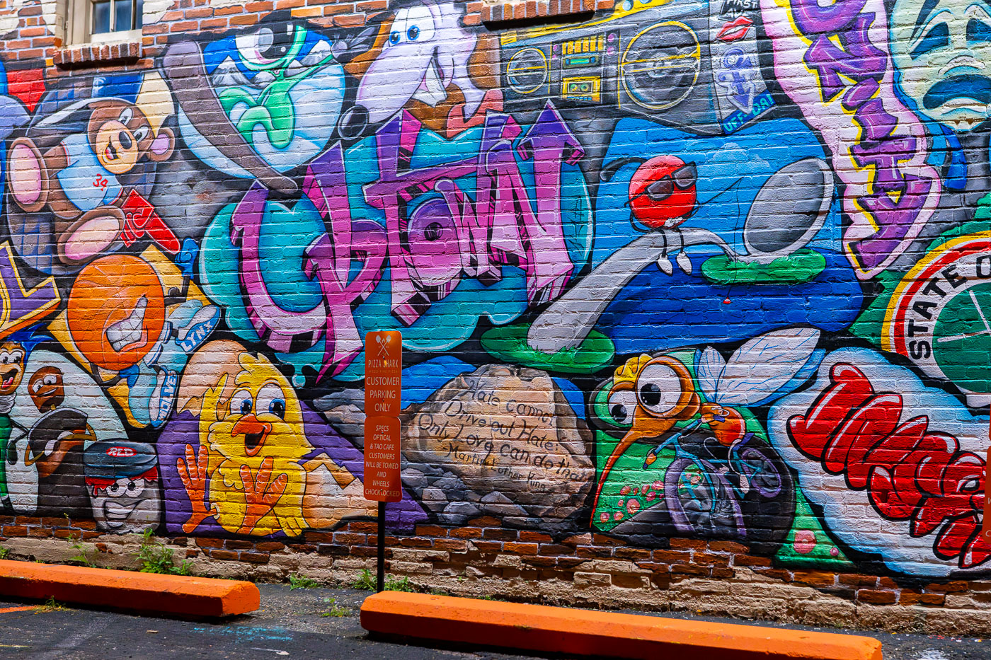 Hate cannot drive out hate only love can do that mural
