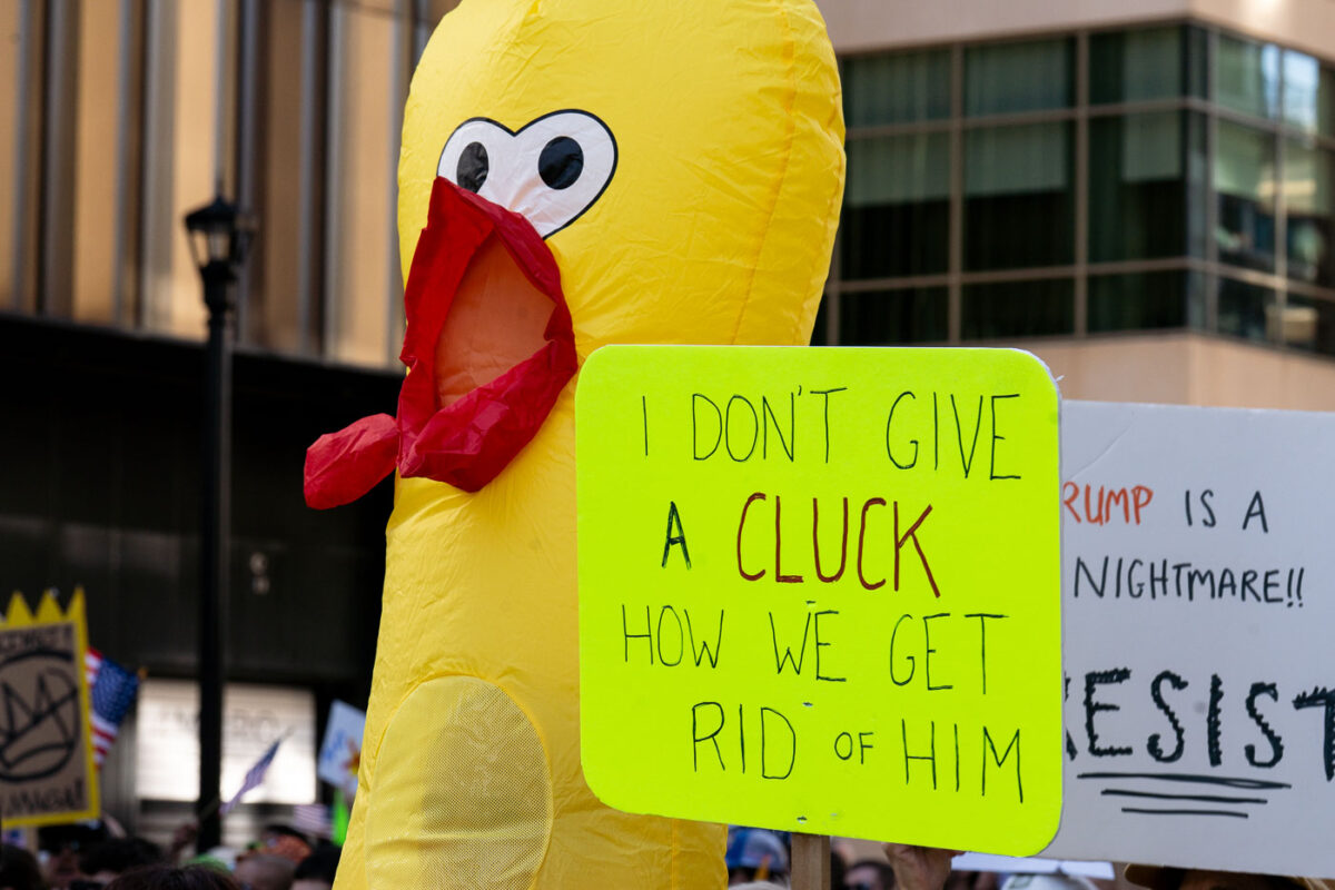 Inflatable Chicken at No Kings Minneapolis
